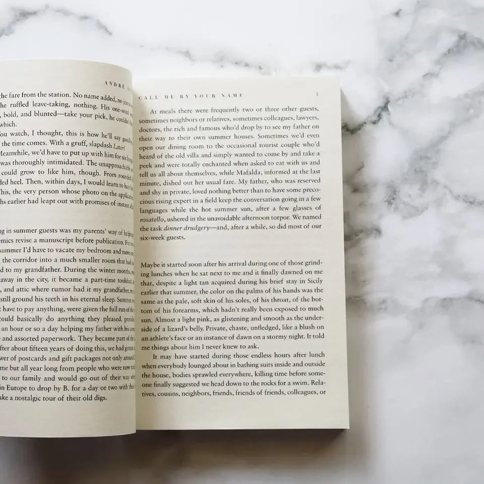 English Version Please Call Me By Your Name English Books Movie Book of The Same Name English Book