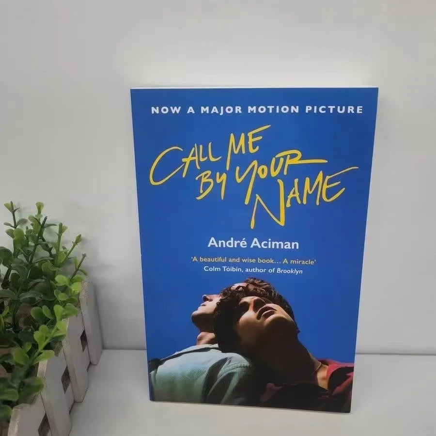 2 Books Call Me By Your Name,Find Me A Novel By Andre Aciman New York Times Bestseller Story Book