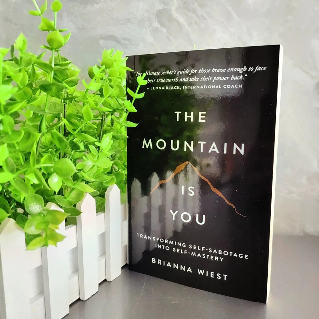 The Mountain is You: Transform Self-Destructive Habits into Self- Mastery, Inspirational English Book, Perfect Birthday Gift for