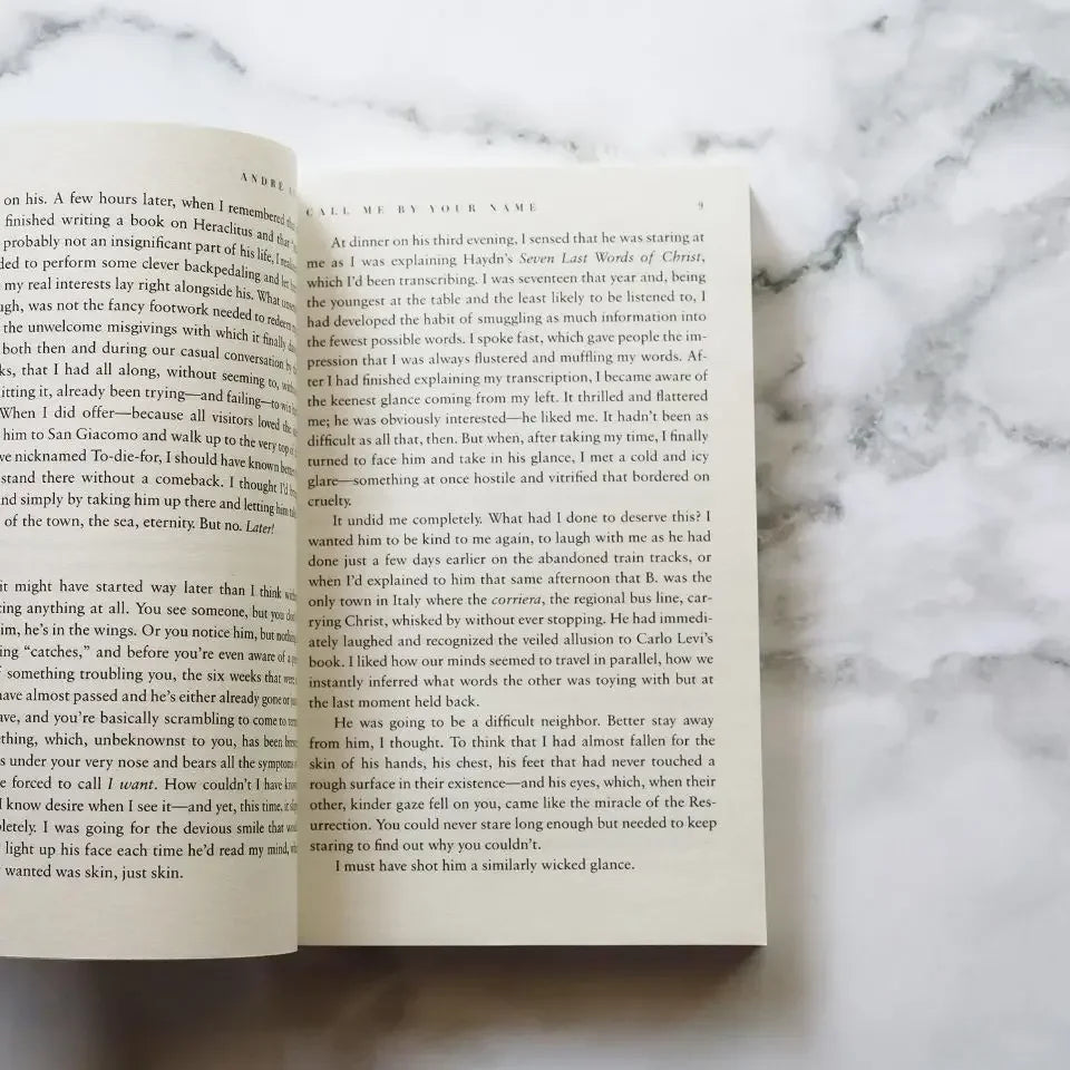 English Version Please Call Me By Your Name English Books Movie Book of The Same Name English Book