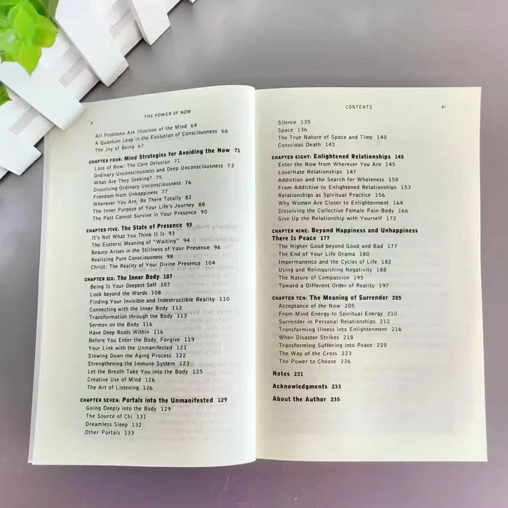 The Power Of Now By Eckhart Tolle A Guide To Spiritual Enlightenment English book