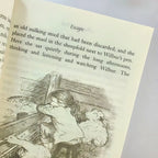 Charlotte's Web Newbery English Version Novel Story Book Tale Fiction