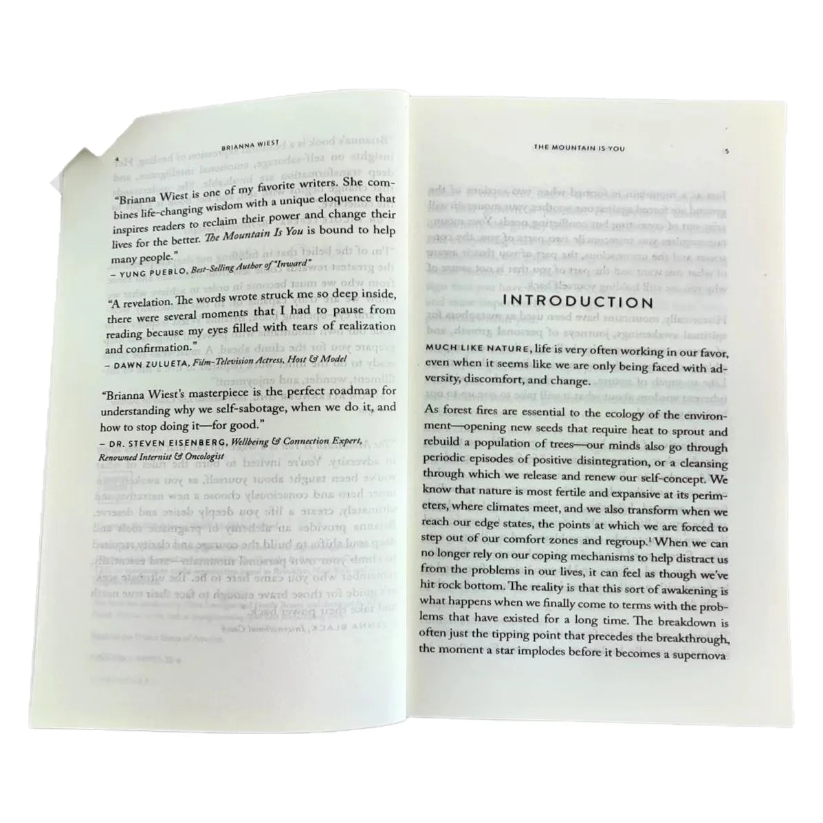 The Mountain is You: Transform Self-Destructive Habits into Self- Mastery, Inspirational English Book, Perfect Birthday Gift for