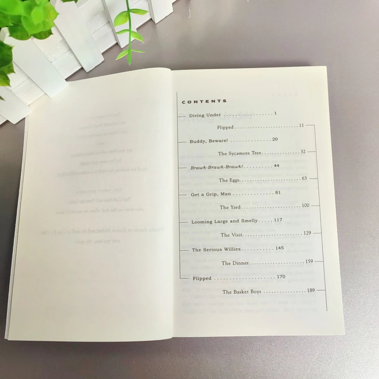 Flipped Wendelin Van Draanen, Bestselling books in English Film on novel based