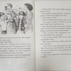 Detective Stories 1-34 volumes English Cam Jansen Teenage Detective Jensen Junior Bridge Chapter book