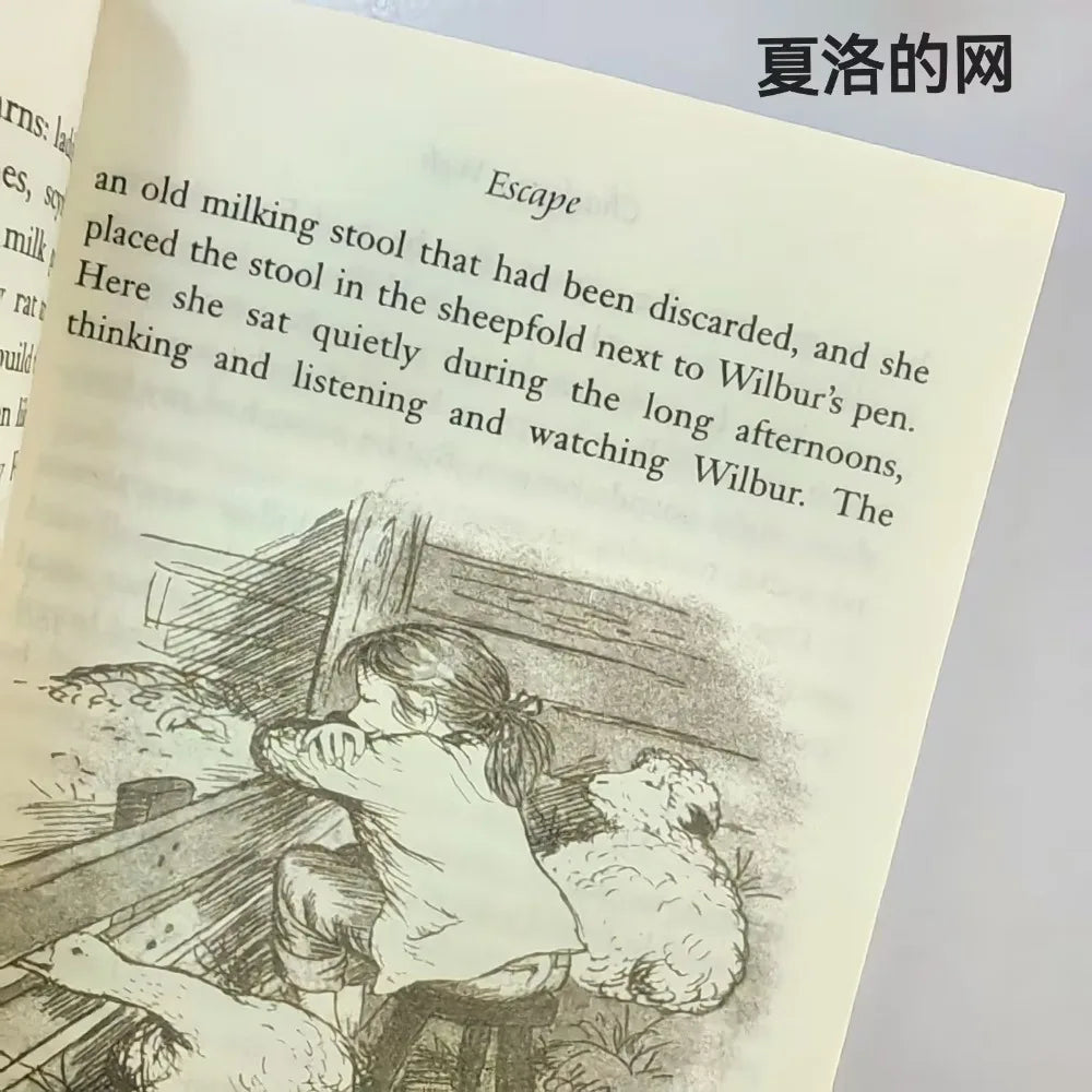 Charlotte's Web Newbery English Version Novel Story Book Tale Fiction