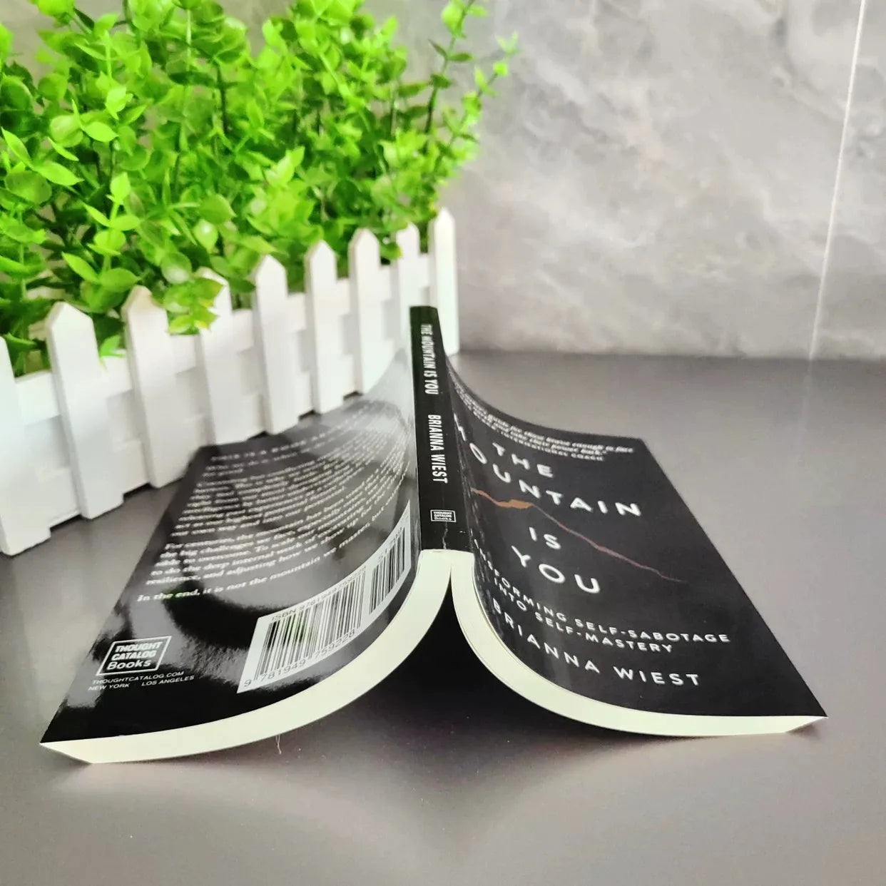 The Mountain is You: Transform Self-Destructive Habits into Self- Mastery, Inspirational English Book, Perfect Birthday Gift for